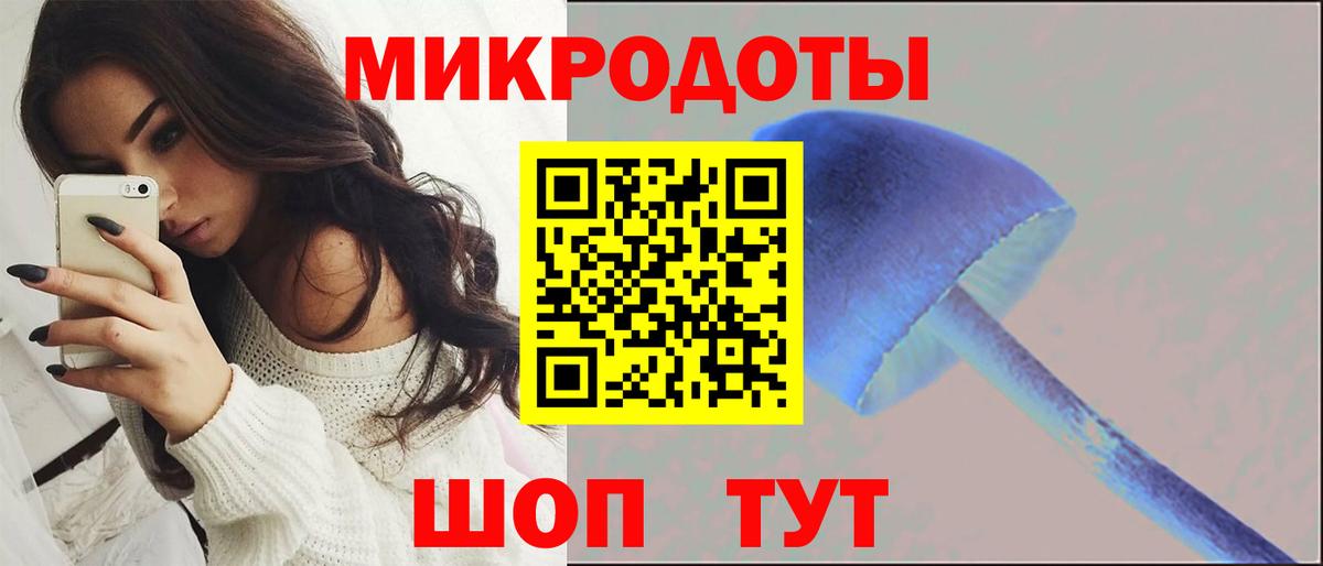 Псилоцибиновые грибы Psilocybe Сочи